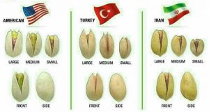 Pistachio Comparison