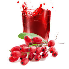 BARBERRY SYRUP DRINK